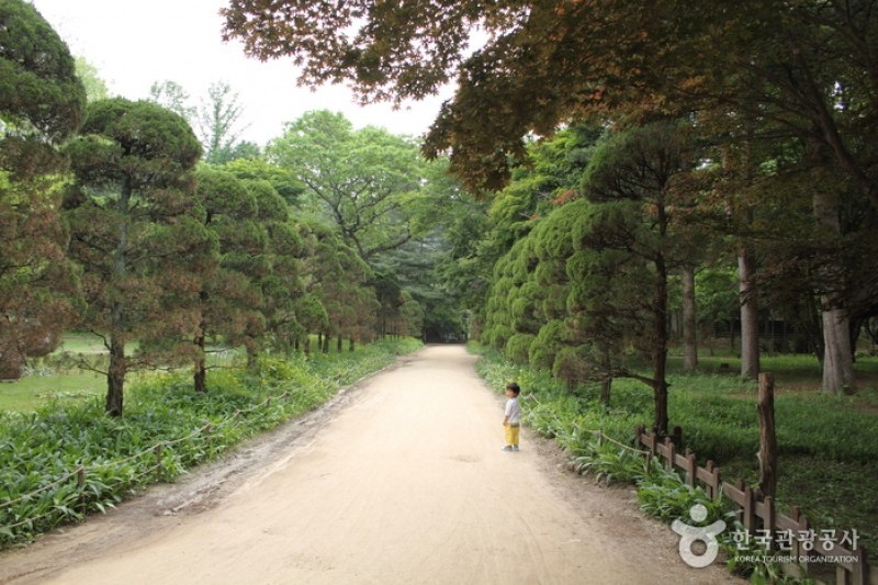 静观楼酒店主楼 [韩国旅游品质认证/Korea Quality]  / 호텔정관루본관 [한국관광 품질인증/Korea Quality] (4/17)