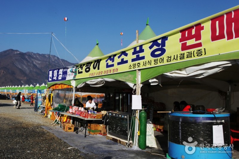 麟蹄冰鱼庆典(인제빙어축제)