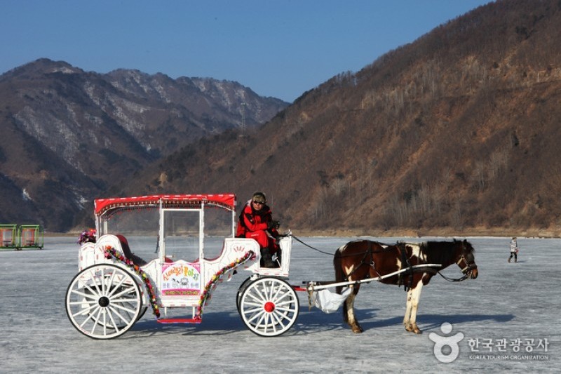 麟蹄冰鱼庆典(인제빙어축제)