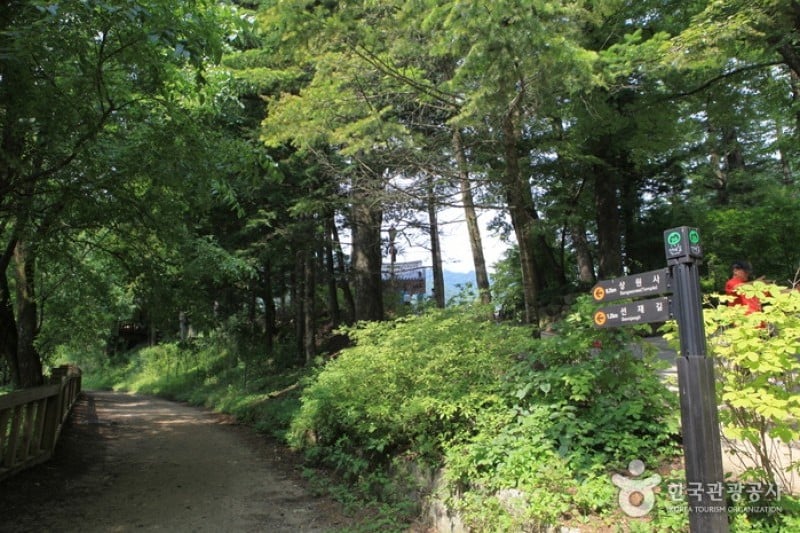 月精寺（五台山）