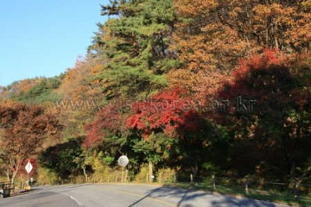 雉岳山国立公园(치악산국립공원)