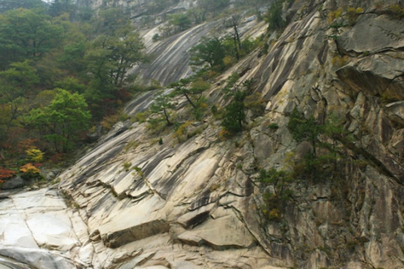 飞仙台