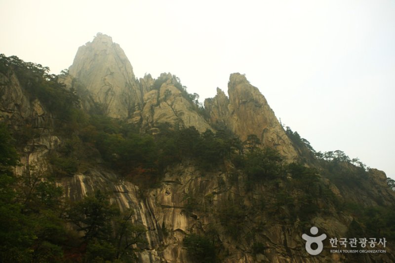 飞仙台