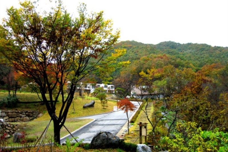 Halience仙村 (7/25)