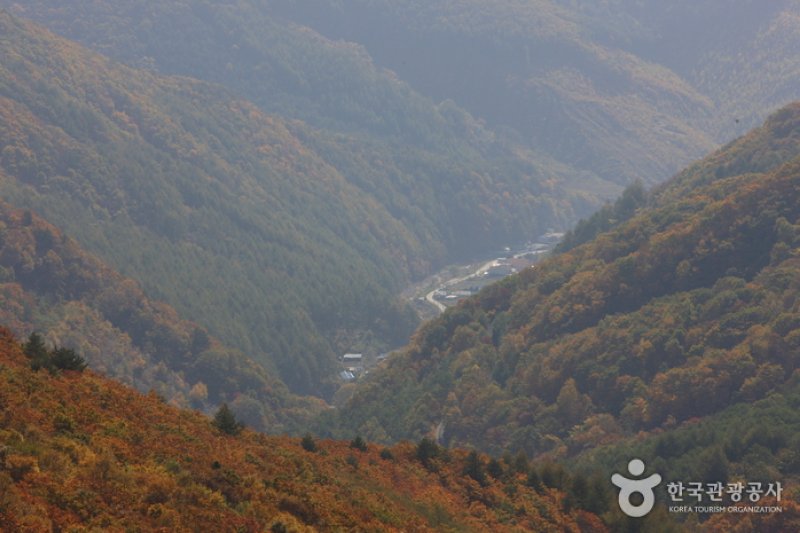 晩项岭