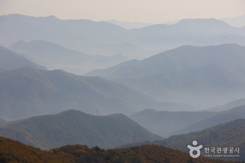 晩项岭