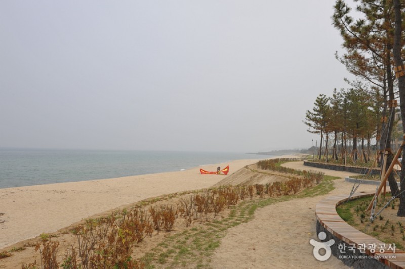 南项津海边