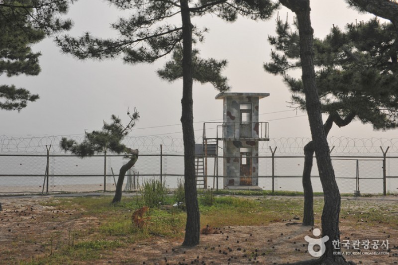 沙川海边