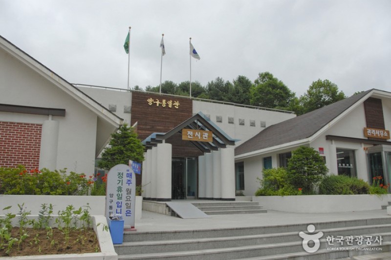 杨口统一馆