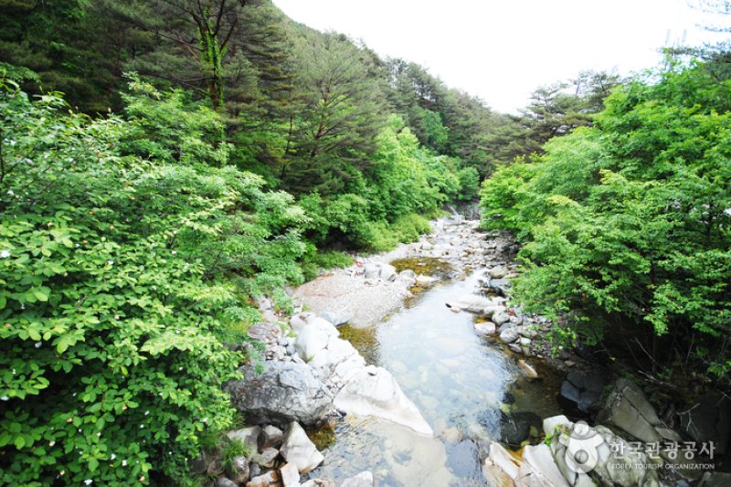 国立加里旺山自然休养林 (4/20)