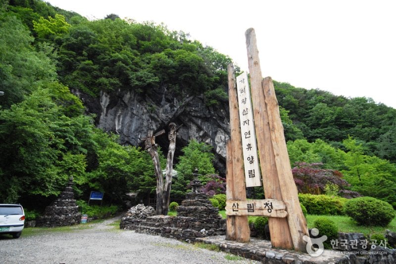 国立加里旺山自然休养林 (7/20)