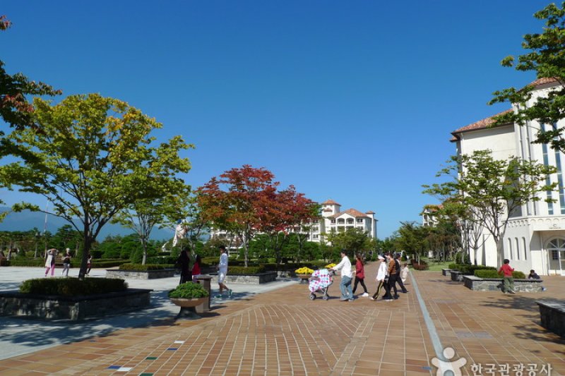 大明Sol Beach饭店&amp;渡假村 (10/37)