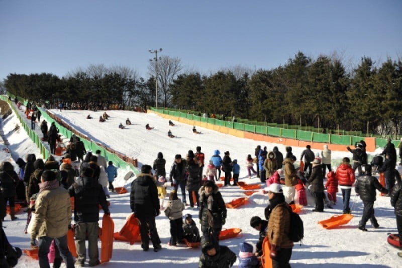 韩国民俗村雪橇场 (2/6)