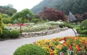 晨静韩半岛野生花展