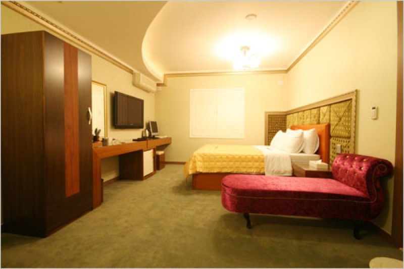 Windsor Castle观光酒店 (4/6)