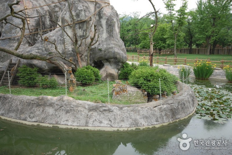 首尔大公园儿童动物园 (1/6)