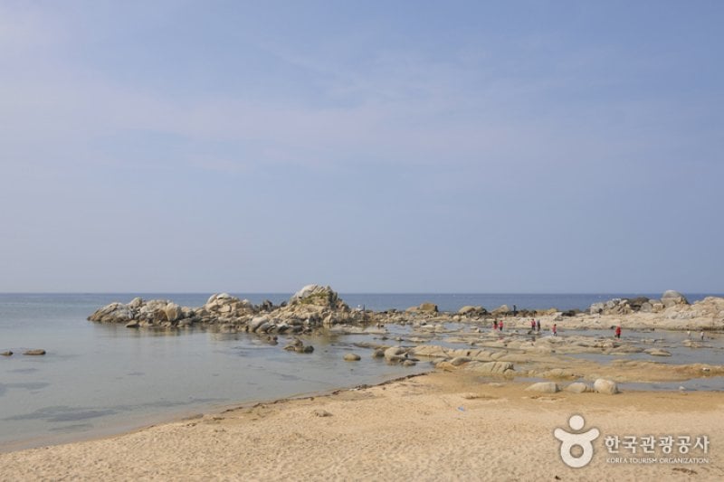 南涯海边