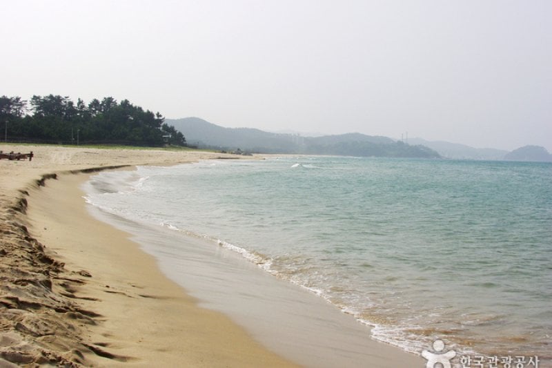 南涯海边