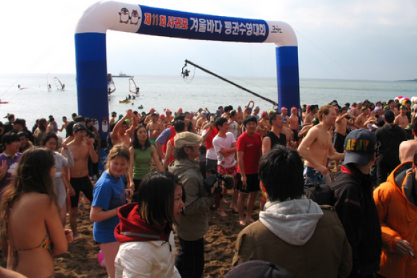西归浦企鹅冬泳大赛