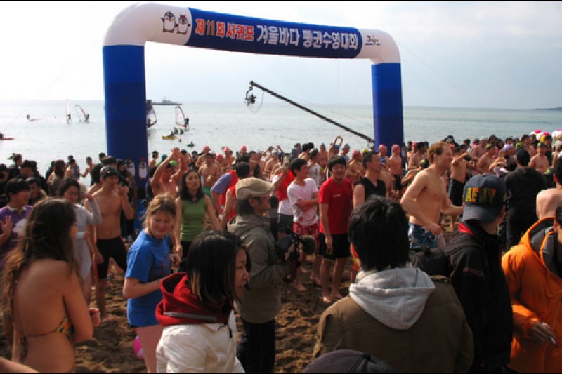 西归浦企鹅冬泳大赛 (8/10)