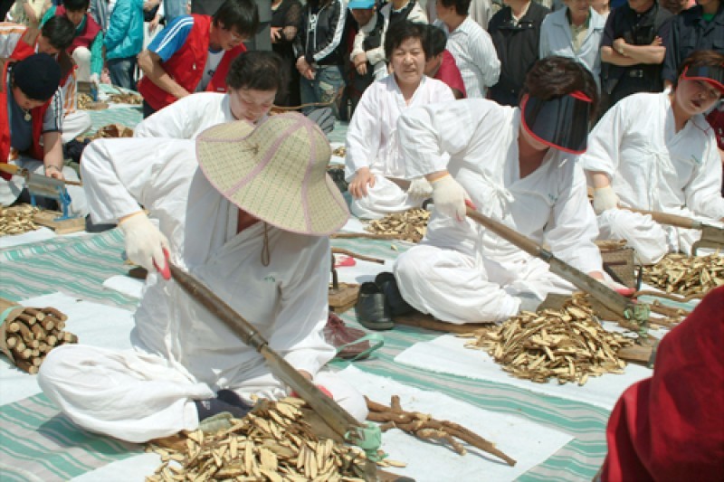 首尔药令市韩方文化庆典(서울약령시 한방문화축제)