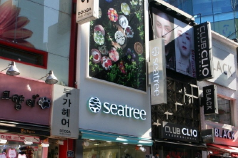 Seatree明洞1号店 (8/14)