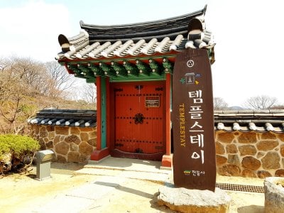 传灯寺山寺体验