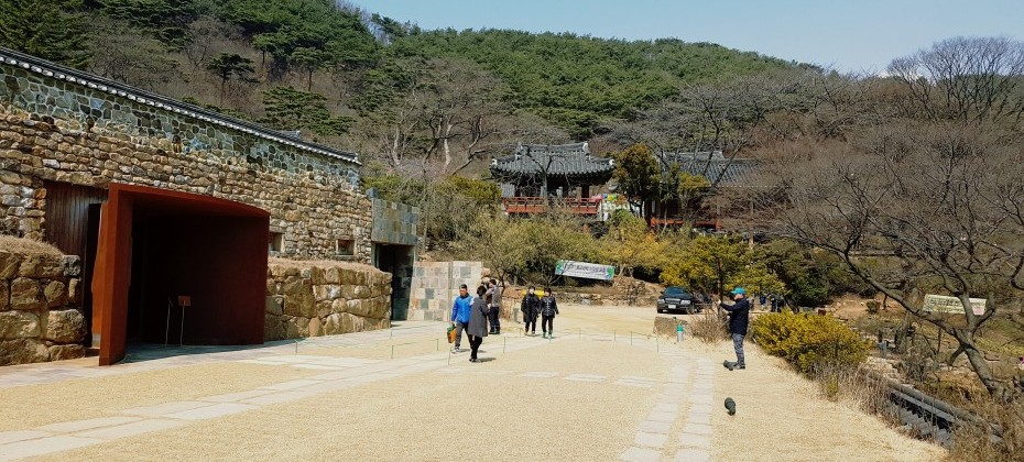 传灯寺山寺体验 (5/19)