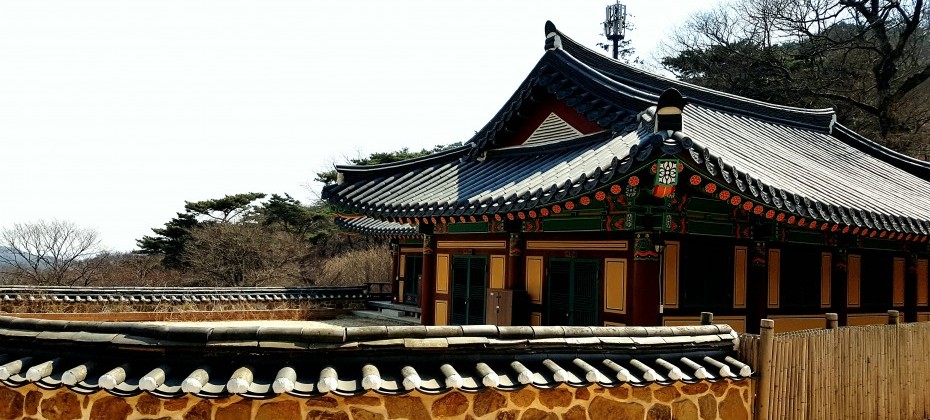 传灯寺山寺体验 (10/19)