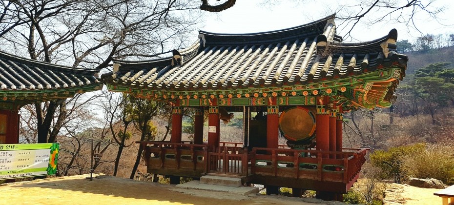 传灯寺山寺体验 (11/19)