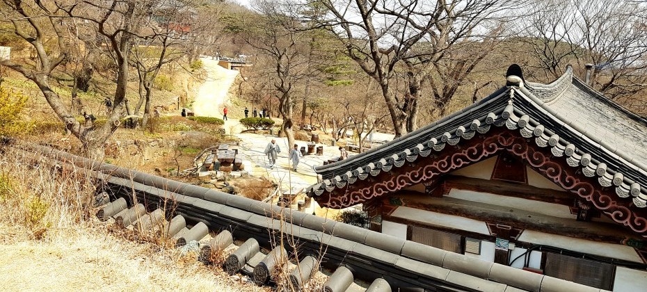 传灯寺山寺体验 (12/19)