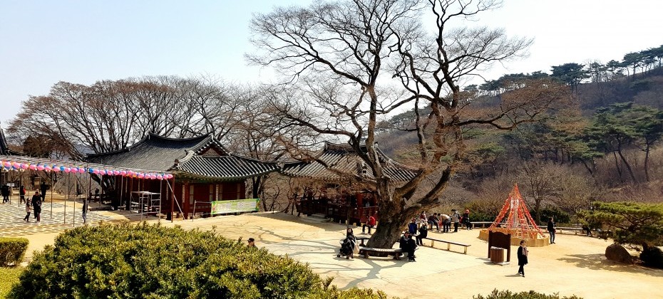传灯寺山寺体验 (16/19)