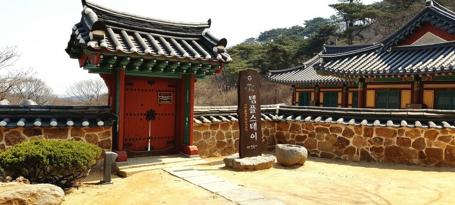 传灯寺山寺体验 (17/19)