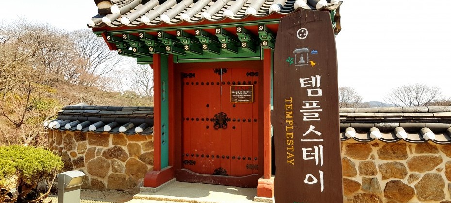 传灯寺山寺体验 (18/19)