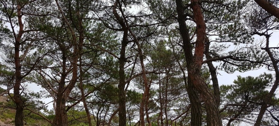 北汉山国立公园(首尔)북한산국립공원(서울)