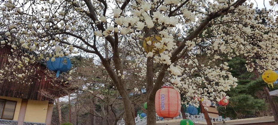 北汉山国立公园(首尔)북한산국립공원(서울)