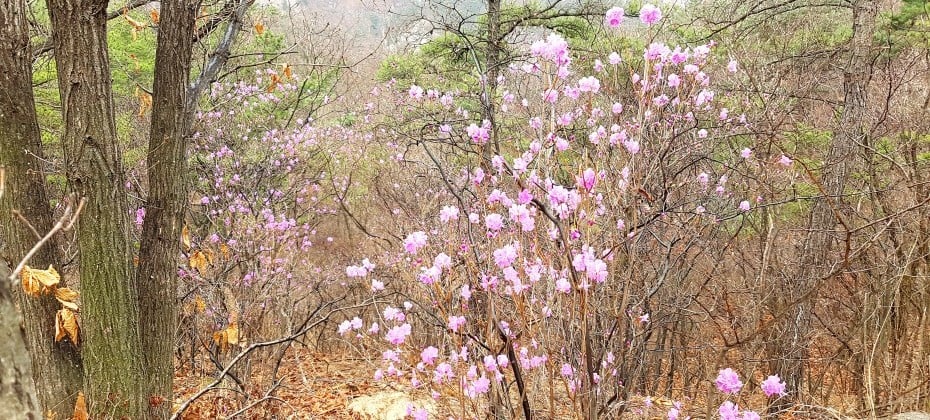 北汉山国立公园(首尔)북한산국립공원(서울)