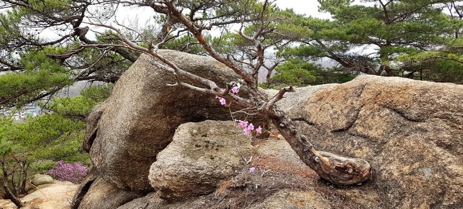 北汉山国立公园(首尔)북한산국립공원(서울)