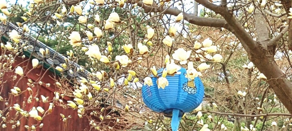 北汉山国立公园(首尔)북한산국립공원(서울)