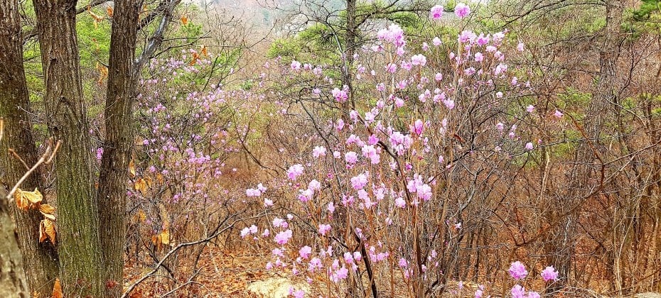 北汉山国立公园(首尔)북한산국립공원(서울)