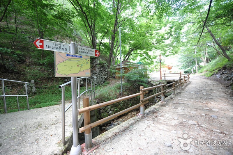 马耳山道立公园 (2/22)