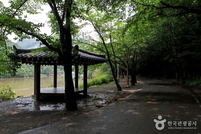 马耳山道立公园 (12/22)