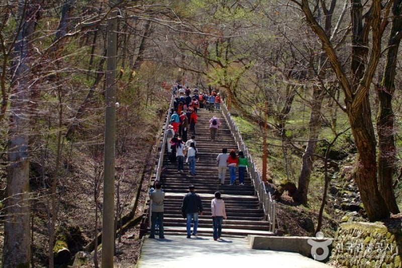 马耳山道立公园 (18/22)