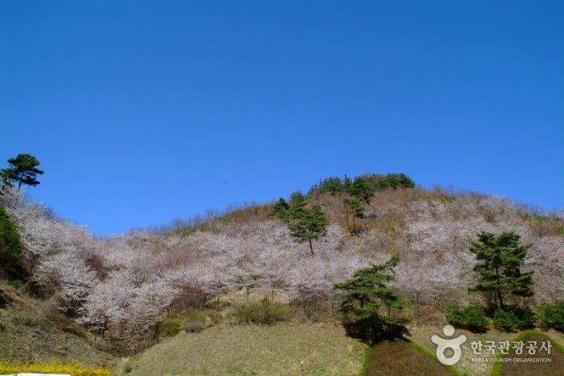 马耳山道立公园 (19/22)
