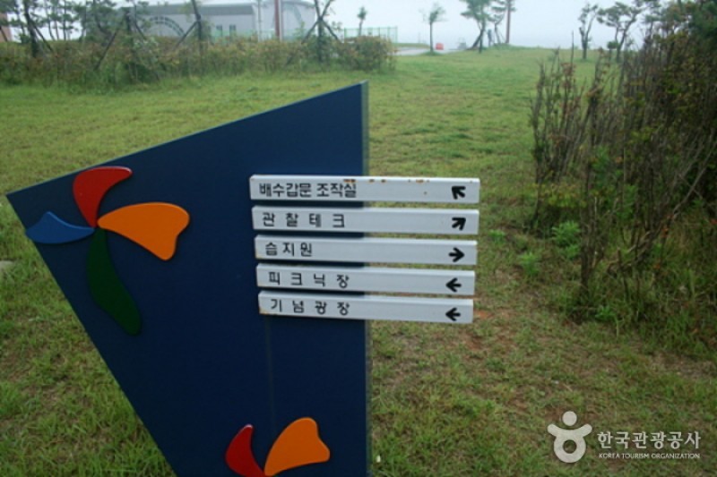 新万金