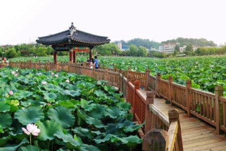 德津公园