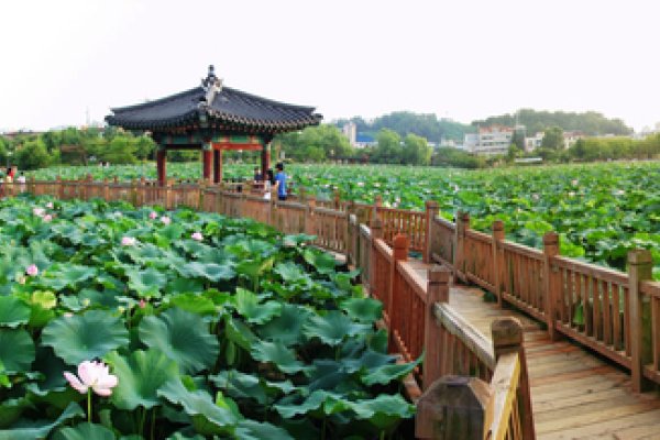 德津公园