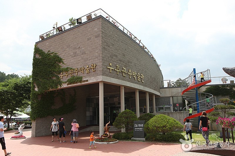 茂朱萤火乐园