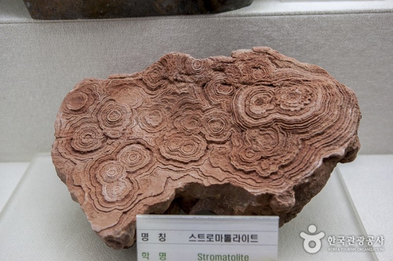 茂朱萤火乐园