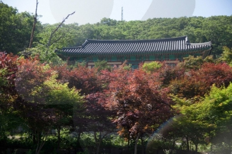 安国寺